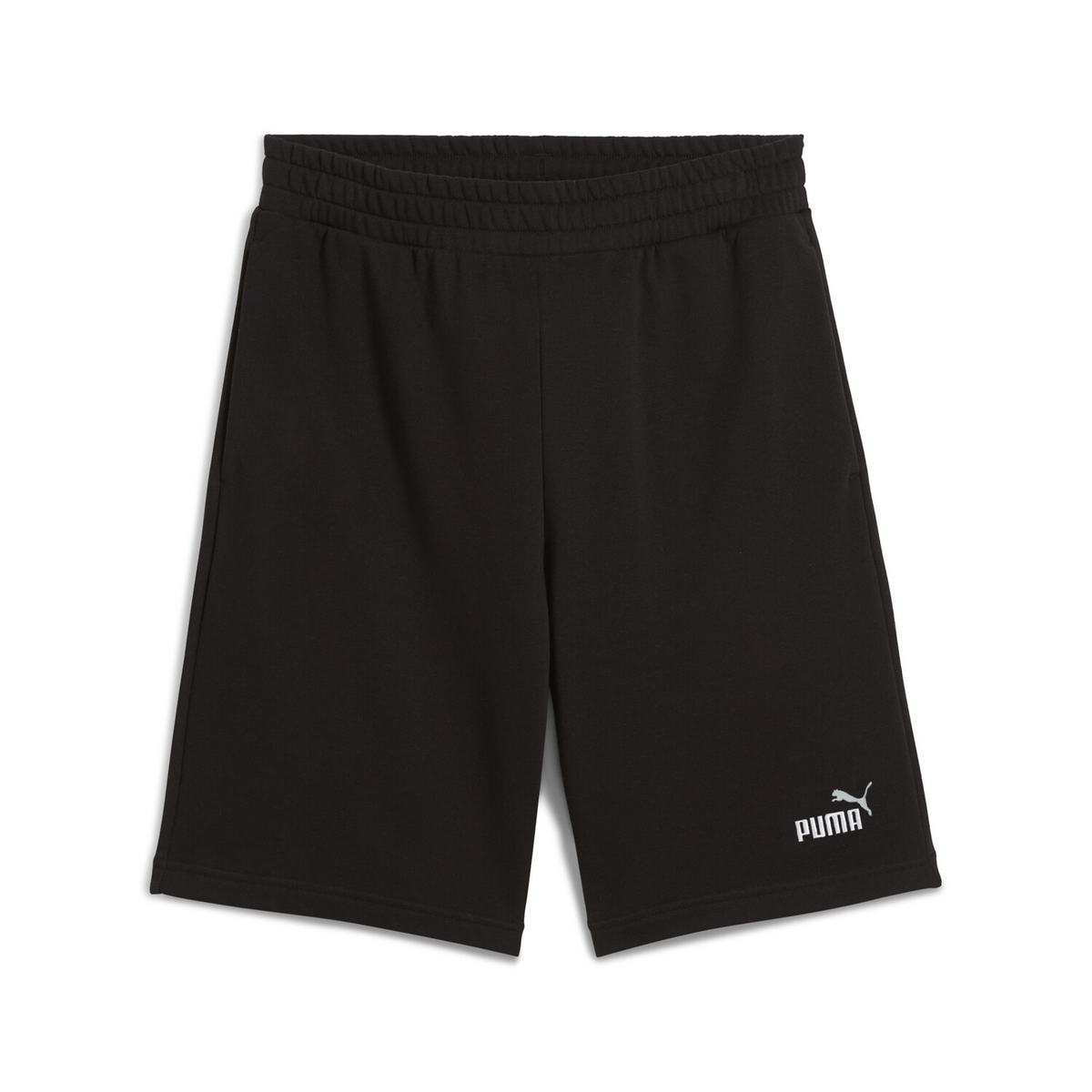 ESS 2 COLOR NO. 1 LOGO SHORTS 10' TR #68471501