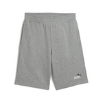 ESS 2 COLOR NO. 1 LOGO SHORTS 10' TR 