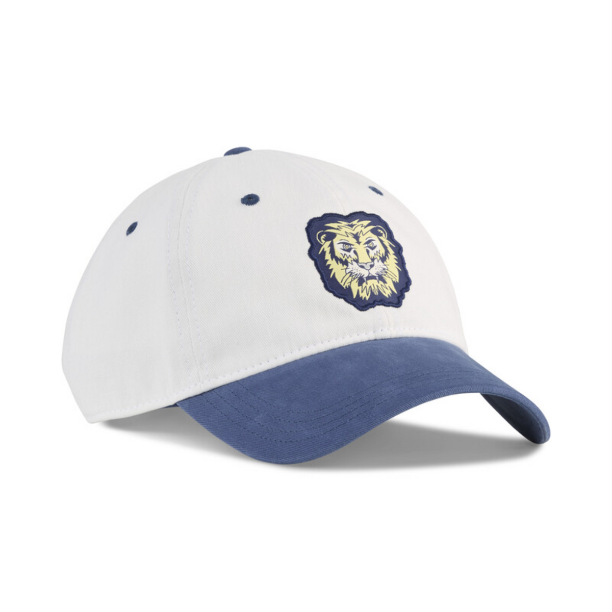 GRAPHIC DAD CAP 