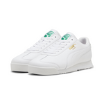 ROMA 24 STANDARD 