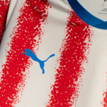 APF HOME JERSEY 